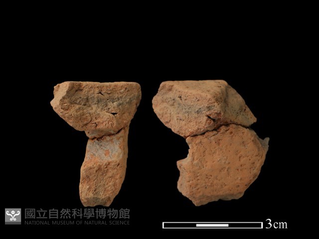 陶片藏品圖，第1張