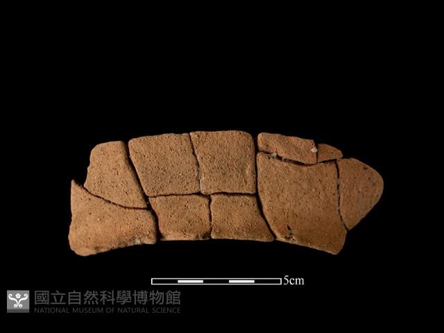 陶罐藏品圖，第2張