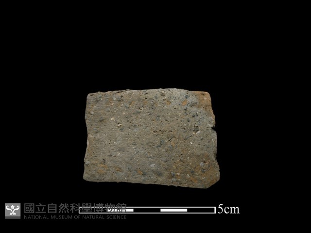 陶把藏品圖，第2張