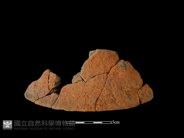陶片藏品圖，第1張