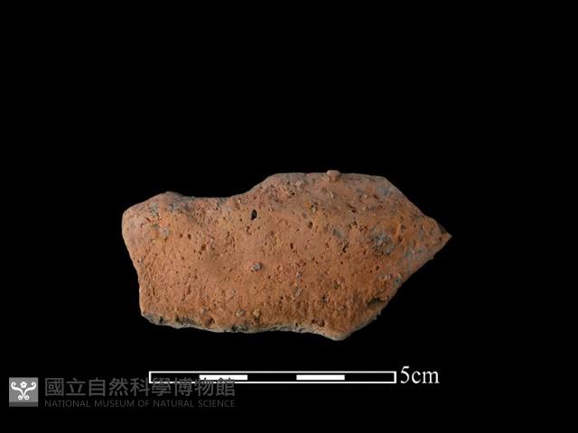 陶罐藏品圖，第2張