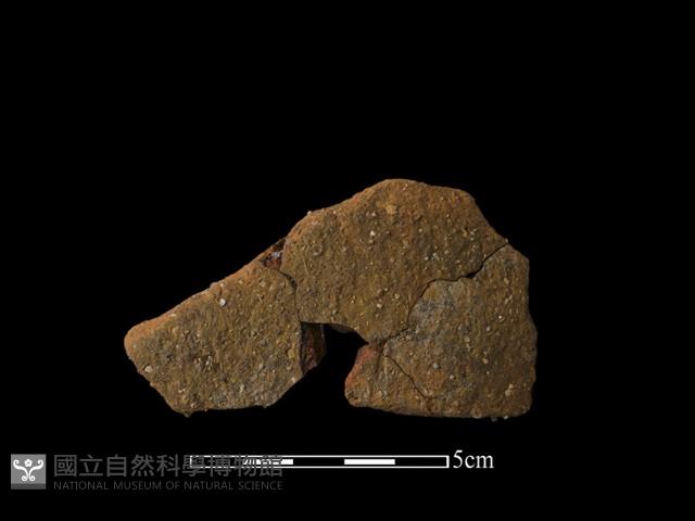 陶片藏品圖，第1張