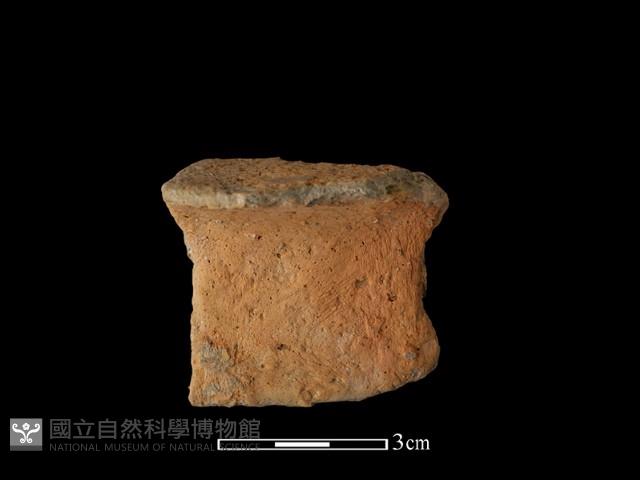 陶片藏品圖，第1張