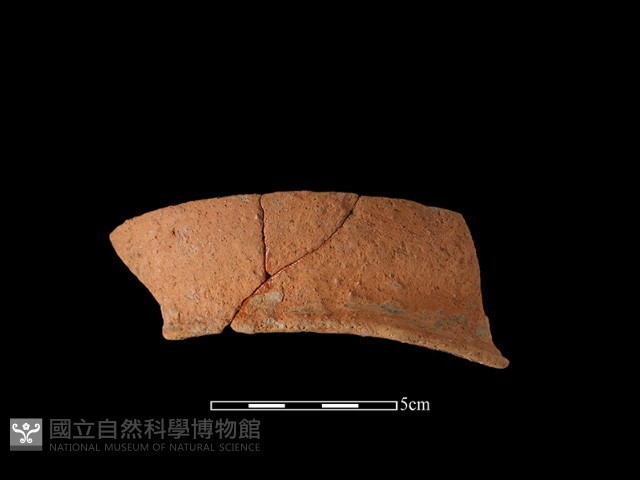 陶罐藏品圖，第2張