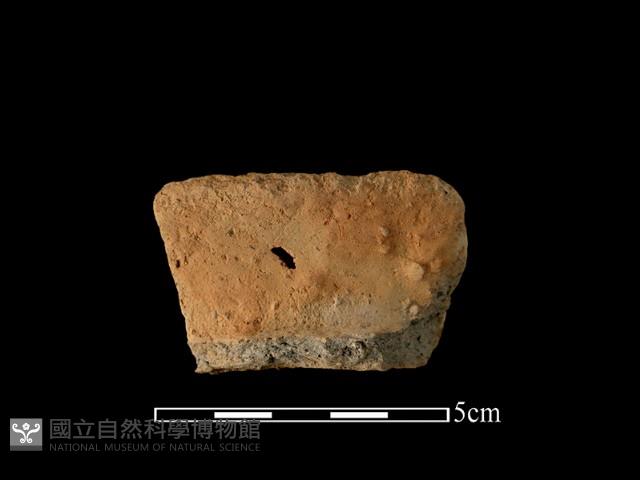 陶罐藏品圖，第2張