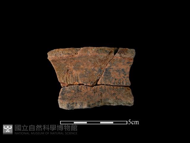 陶罐藏品圖，第2張