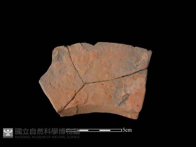 連杯形器藏品圖，第1張