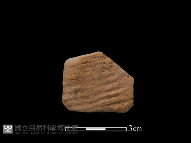 陶片藏品圖，第2張