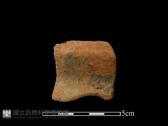 陶罐藏品圖，第2張