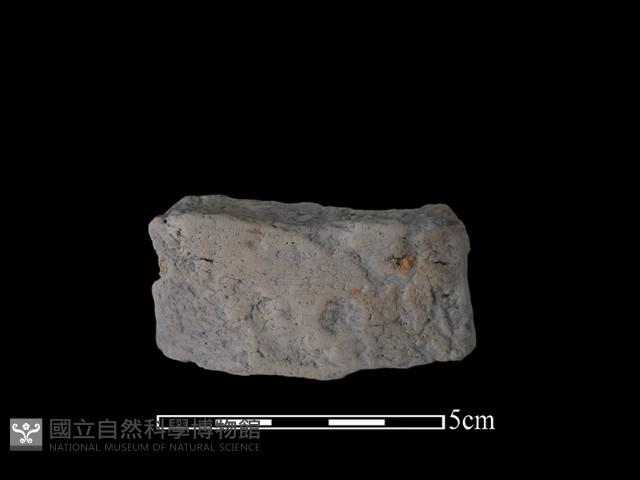 陶片藏品圖，第1張