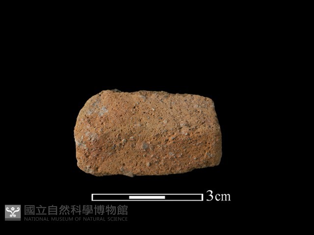 陶片藏品圖，第1張