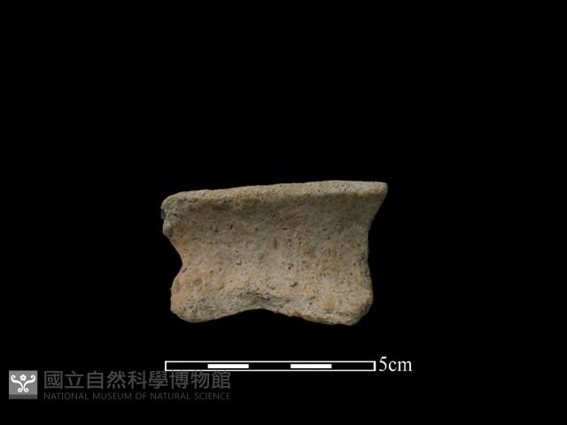 陶罐藏品圖，第2張