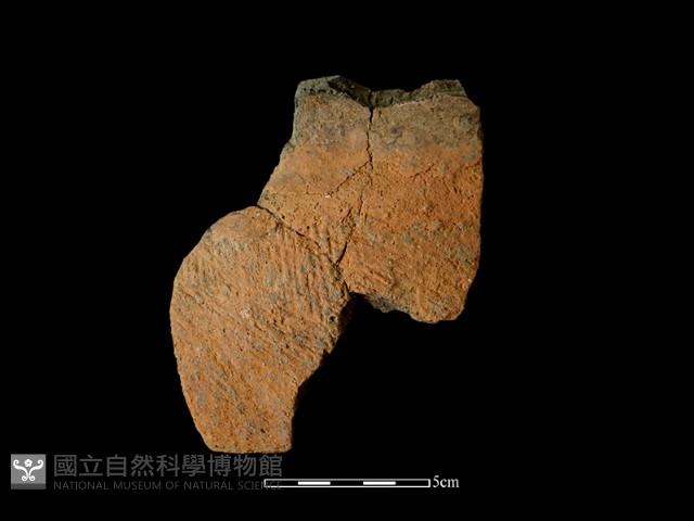 Accession Number:AHR336-2017-016 Collection Image, Figure 1, Total 2 Figures