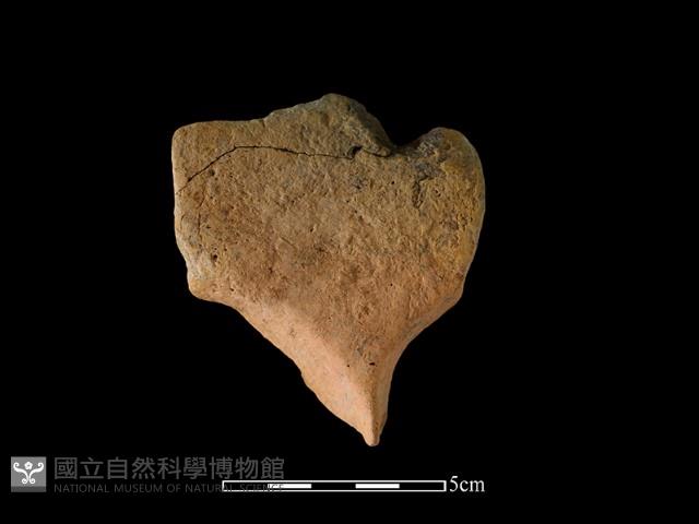 連杯形器藏品圖，第1張