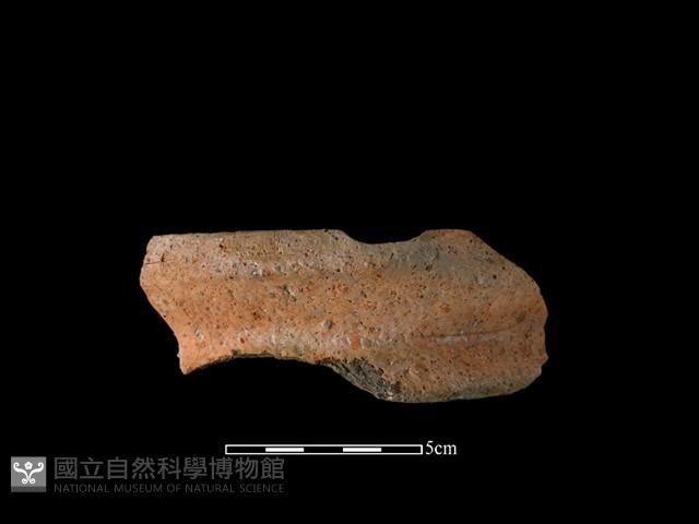 陶罐藏品圖，第1張