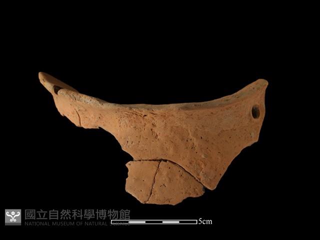 Accession Number:AHR336-2017-066 Collection Image, Figure 2, Total 3 Figures