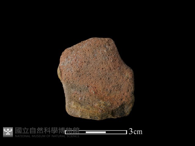 陶罐藏品圖，第1張