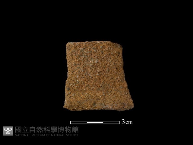陶罐藏品圖，第1張