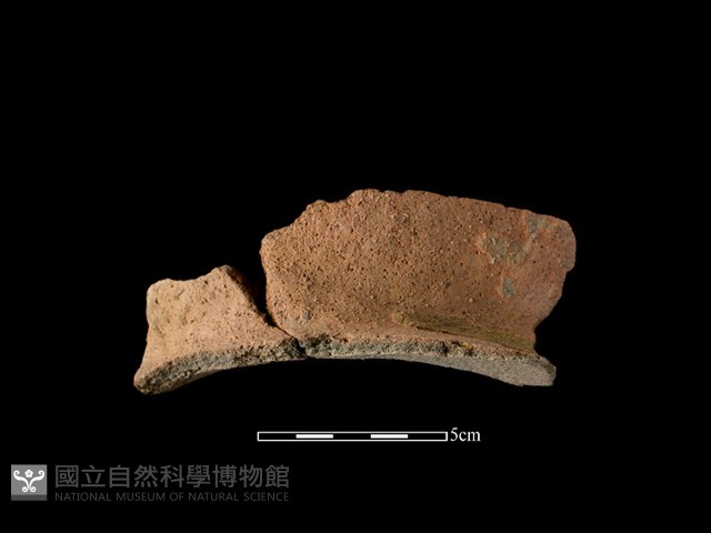 陶罐藏品圖，第1張