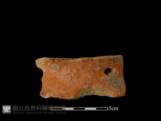 陶片藏品圖，第2張