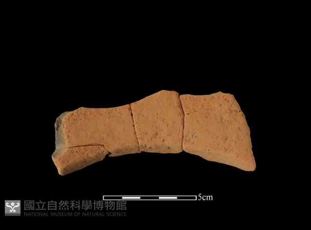 連杯形器藏品圖，第2張