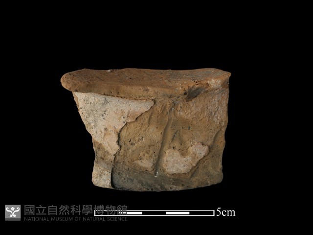 陶片藏品圖，第1張