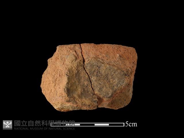 陶罐藏品圖，第1張