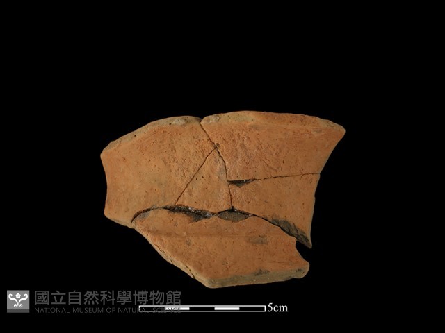 陶罐藏品圖，第1張