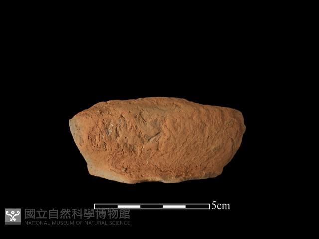 陶罐藏品圖，第2張