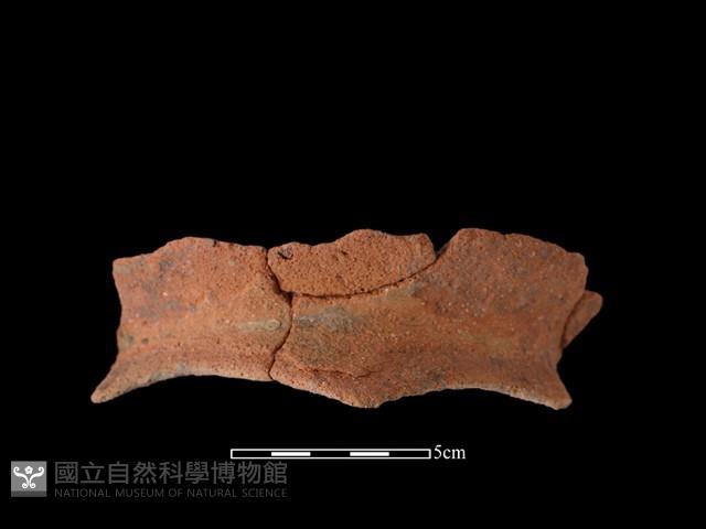 陶罐藏品圖，第1張