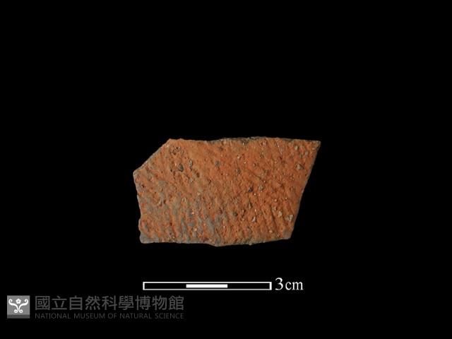 陶片藏品圖，第1張