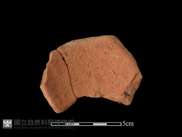 陶片藏品圖，第1張