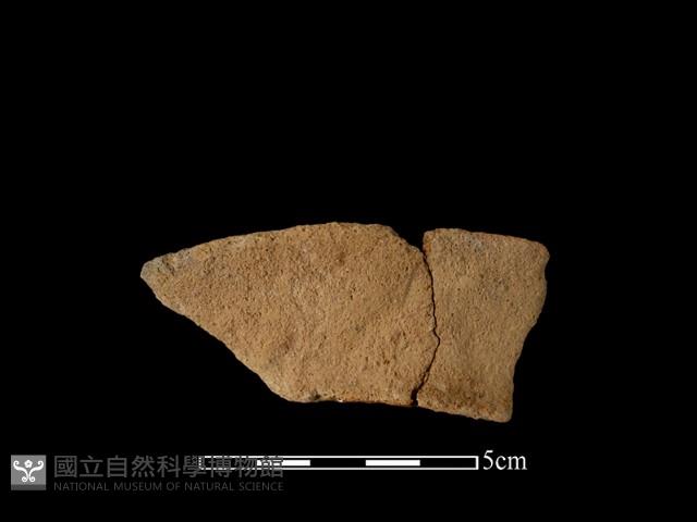 陶罐藏品圖，第2張