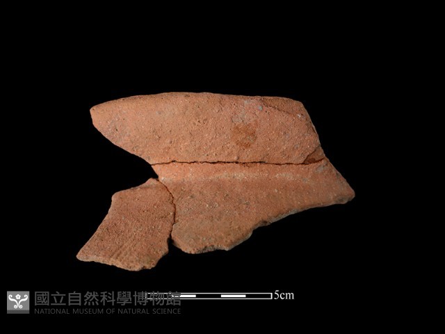 陶罐藏品圖，第1張