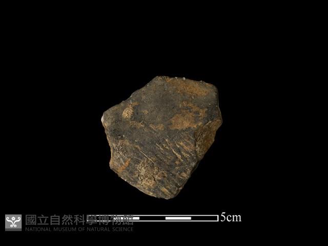 陶片藏品圖，第1張