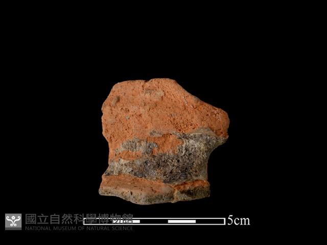 Accession Number:AHR232-2017-094 Collection Image, Figure 1, Total 2 Figures