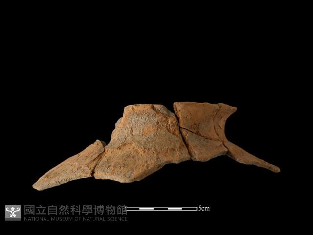 陶罐藏品圖，第1張