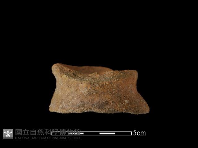 陶片藏品圖，第2張