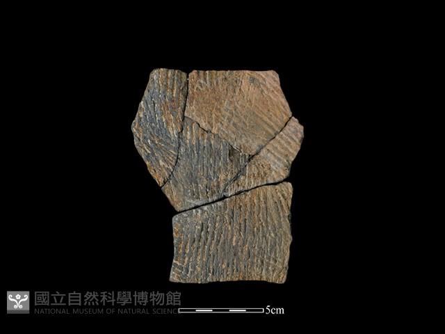 陶片藏品圖，第1張