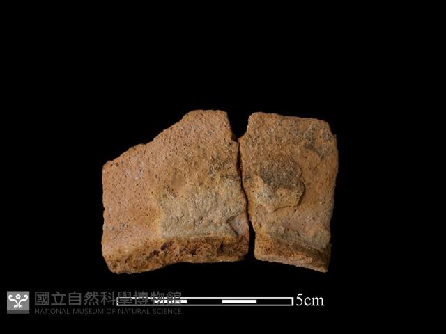 陶罐藏品圖，第1張