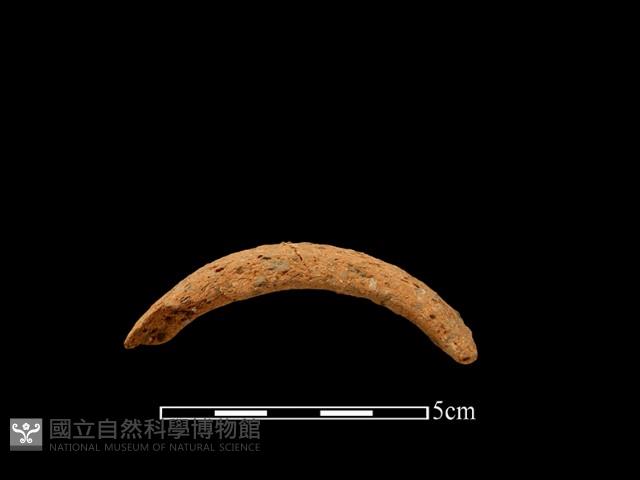 陶把藏品圖，第3張