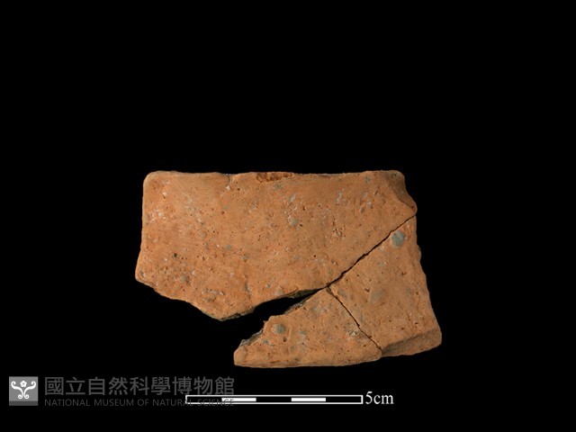 陶片藏品圖，第2張