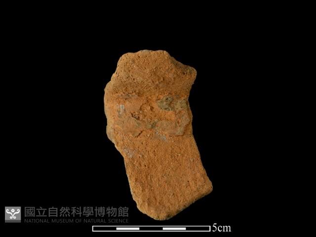 陶罐藏品圖，第2張