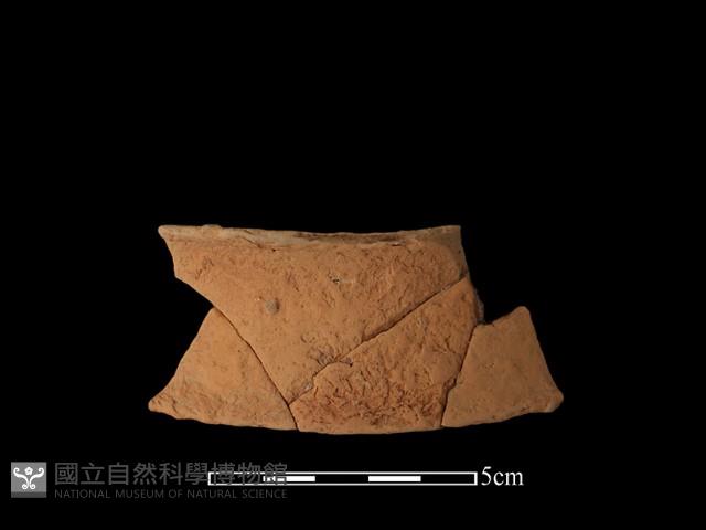 陶片藏品圖，第2張