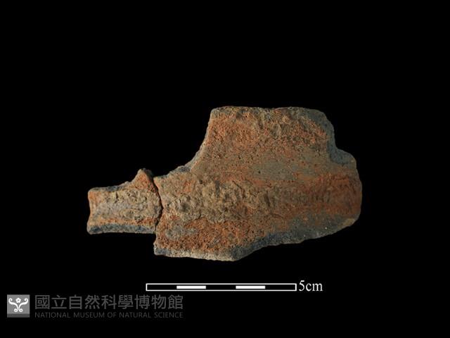 陶罐藏品圖，第1張