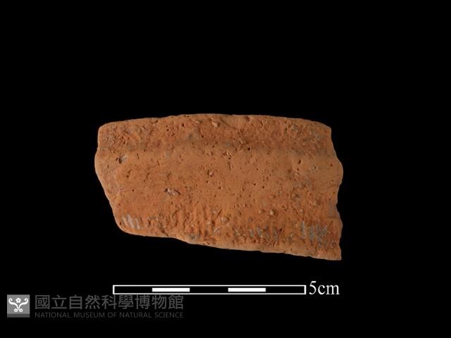 陶罐藏品圖，第2張