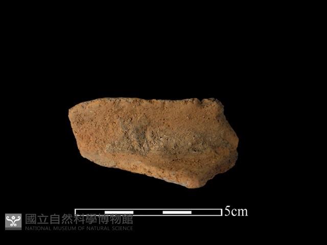 陶罐藏品圖，第1張