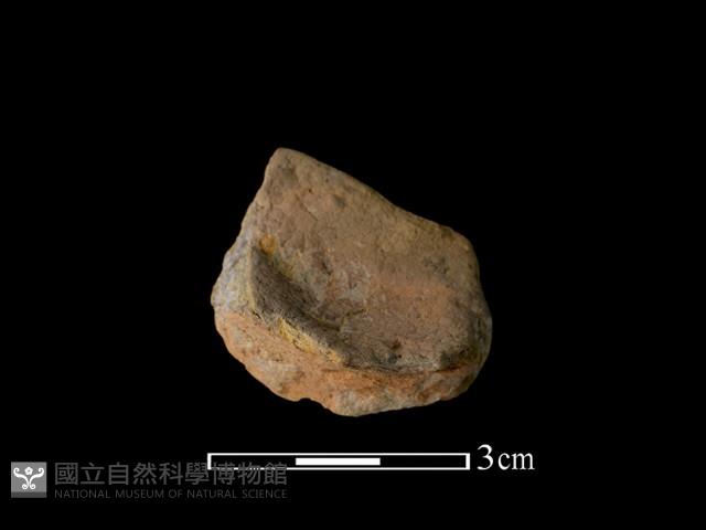 陶片藏品圖，第2張