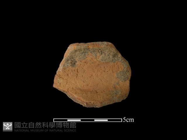 陶罐藏品圖，第1張