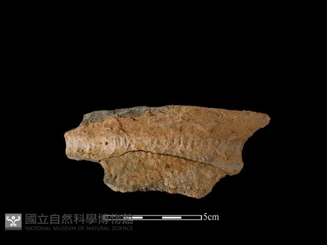 陶罐藏品圖，第2張